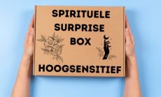 Hoogsensitief Surprise Box